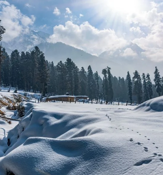 Magical Kashmir